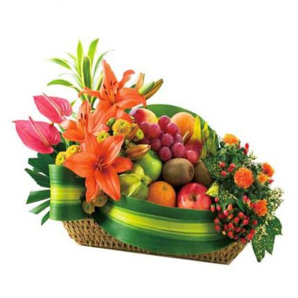 Fruto-003