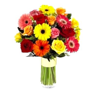 rosas y gerberas de colores